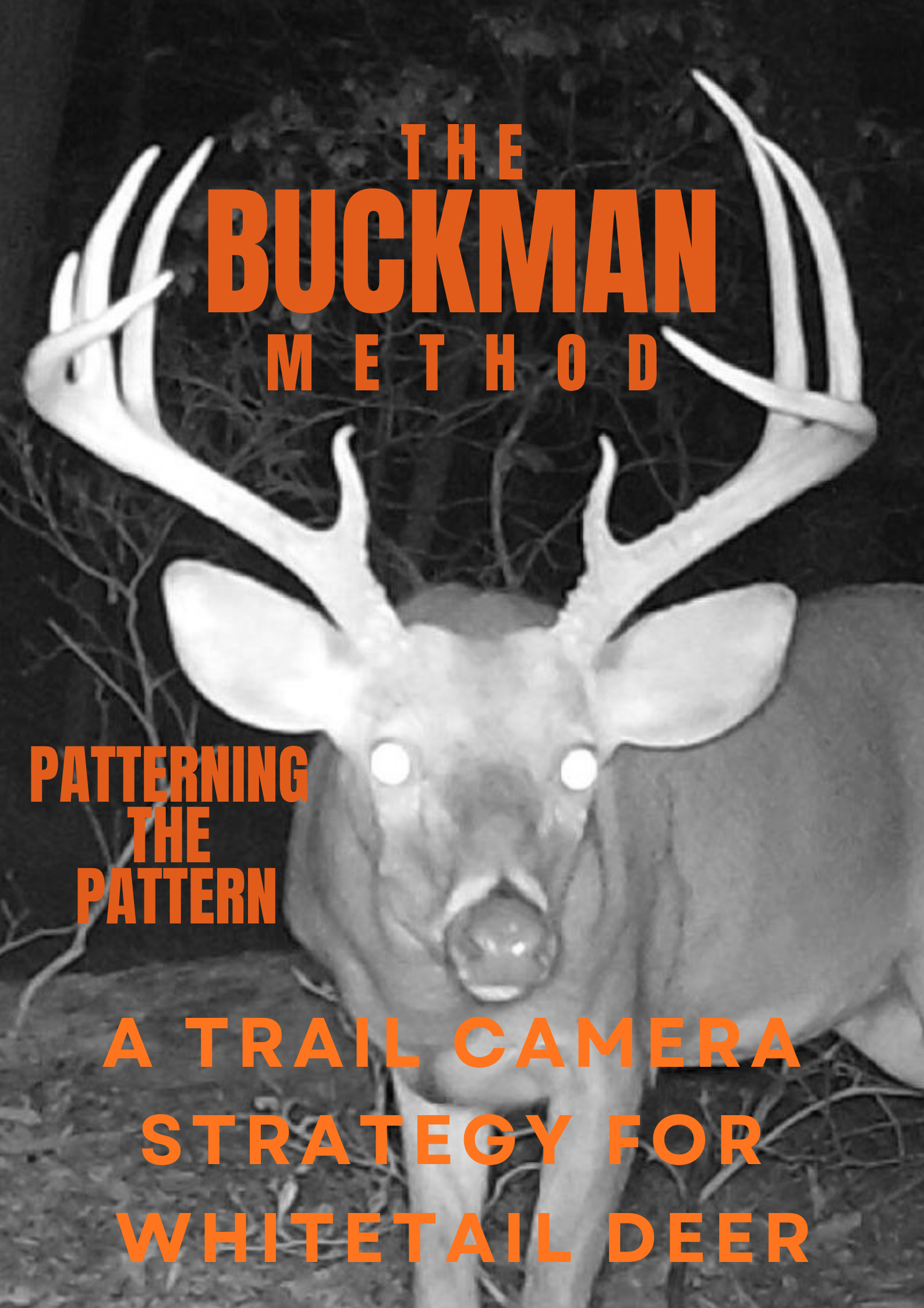 Patterning the Pattern book cover